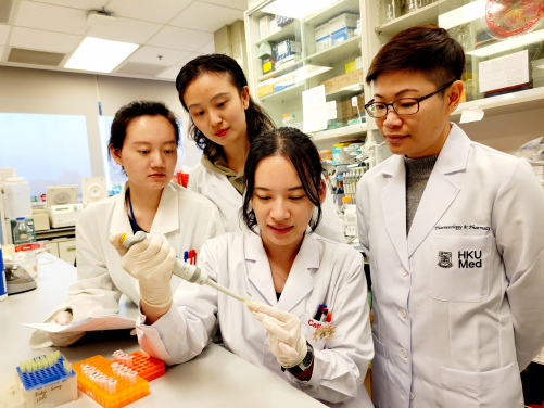 Professor Ruby Hoo Lai-chong (first, right), Department of Pharmacology and Pharmacy of HKUMed, and her research team have successfully developed a neutralising monoclonal antibody, 6H2, which targets a harmful protein A-FABP known to exacerbate damage caused by ischaemic stroke. The findings will offer potential for a highly effective pharmacological therapy for patients with ischemia stroke.
 